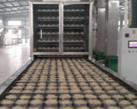 河南自熟粉絲機廠(chǎng)家哪家好？自熟粉絲機多少錢(qián)一臺？